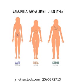 Ayurvedic physical constitution of human body. Women's bodies demonstrate dosha-type structure. Vata, pitta, and kapha doshas. Ectomorph, mesomorph and endomorph. Vector illustration