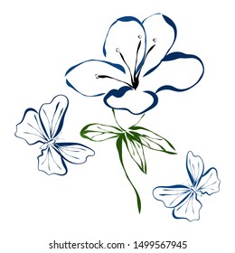 Azalea. Flower and butterflies. Graphics. Drawing for advertising, logos. 
