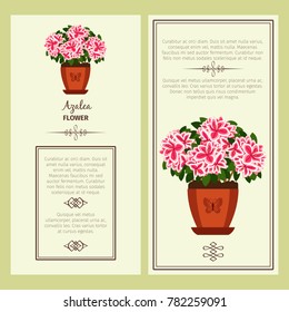 Azalea flower in pot vector advertising banners for shop design