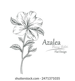 azalea flower sketch vector illustration.