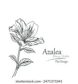 azalea flower sketch vector illustration.