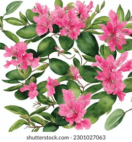 azalea flowers garden plant watercolor art illustration