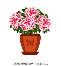 Azalea Hoseplant With Pink Flowers In Pot, Vector Icon