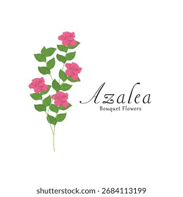 Azalea plant flower vector illustrations.