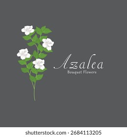 Vektorgrafiken von Azalea-Pflanzen.