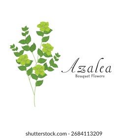 Azalea plant flower vector illustrations.