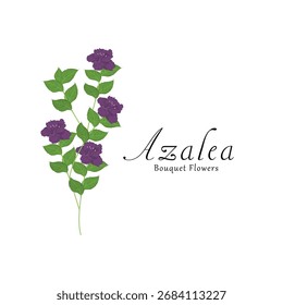 Azalea planta Ilustraciones vectoriales de flores.