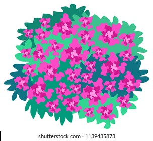 Azalea spherical bush vector graphics