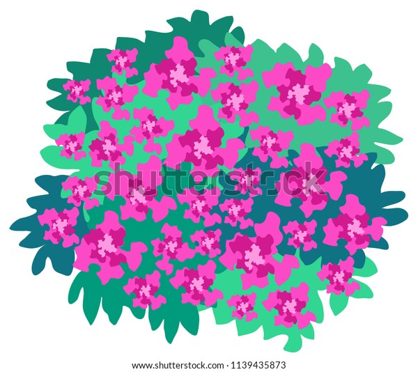 Azalea Spherical Bush Vector Graphics Stock Vector Royalty Free 1139435873,How To Cook Carrots For Baby Led Weaning
