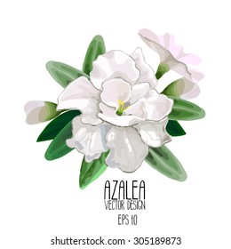 Azalea Vignette. Vector Design Isolated On White Background