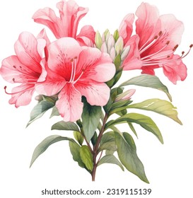 Azaleas Watercolor illustration. Hand drawn underwater element design. Artistic vector marine design element. Illustration for greeting cards, printing and other design projects.