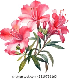 Ilustración de Azaleas Watercolor. Diseño de elementos submarinos dibujados a mano. Elemento de diseño marino vectorial artístico. Ilustración para tarjetas de felicitación, impresión y otros proyectos de diseño.