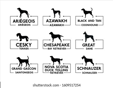 Ariégeois, Azawakh, Black and Tan Coonhound, Cesky Terrier, Chesapeake Bay Retriever, Great Dane, Grand Gascon Saintongeois, Nova Scotia Duck Tolling Retriever, Schnauzer. Dog vector icons, set 3