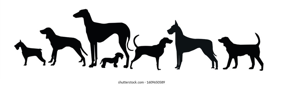 Ariégeois, Azawakh, Black and Tan Coonhound, Cesky Terrier, Chesapeake Bay Retriever, Great Dane, Grand Gascon Saintongeois, Nova Scotia Duck Tolling Retriever, Schnauzer. Dog vector icons