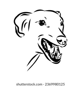 Azawakh,Azawakh dog vector sketch illustration
