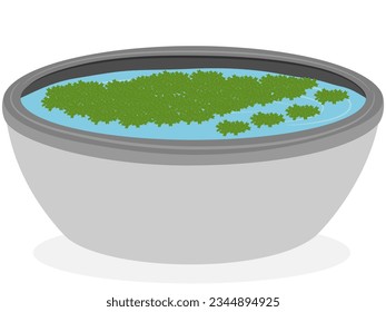Azolla sobre un fondo blanco.