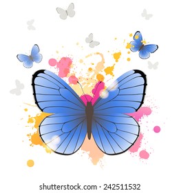 Azure butterfly over bright background