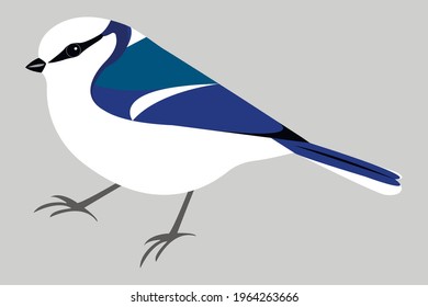 Azure Tit Vector Isolated. Stock Illustration Cyanistes Cyanus