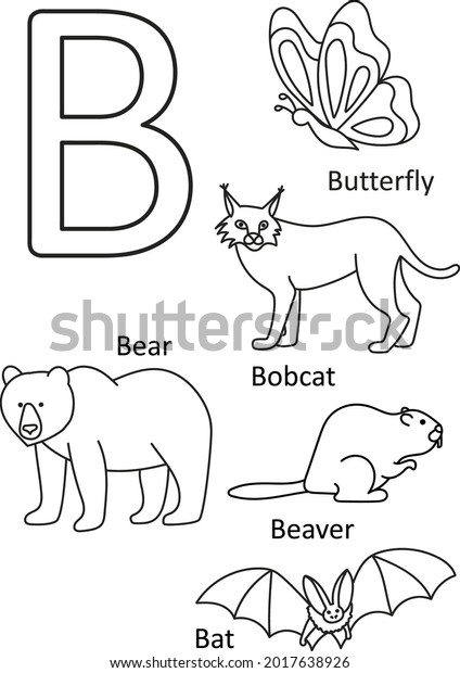 B Animals Names Alphabet Coloring Kids Stock Vector (Royalty Free ...