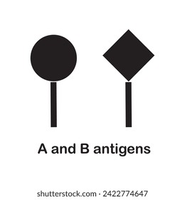 B and A antigens respectively, which determine the blood groups of individuals.alactose or N-acetylgalactosamine  added to H-antigen. Blood Types, ABO System, Red Blood Cell Antigens and Blood Groups