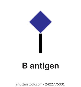 B and A antigens respectively, which determine the blood groups of individuals.alactose or N-acetylgalactosamine  added to H-antigen. Blood Types, ABO System, Red Blood Cell Antigens and Blood Groups