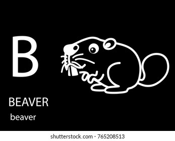 b for beaver 