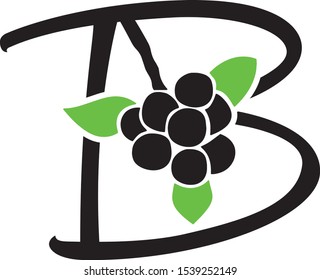 B Berry Logo design vector icon symbol