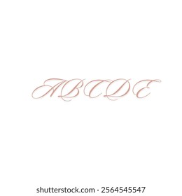 A B C D E Text English alphabet vector design in white area