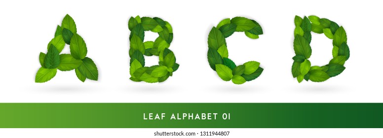 A B C D Realistic green leaves eco alphabet set. Greenery leaf elements font concept isolated on white background. Vector illustration