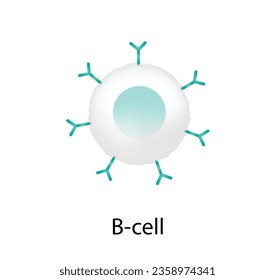 B, células del sistema inmune adaptativo. Células plasmáticas, leucocitos, ícono de linfocitos B. Ilustración vectorial.