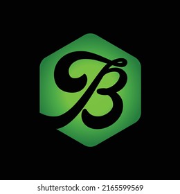 Image vectorielle du logo initial du haxagon vert