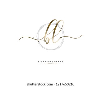 B L BL initial logo handwriting  template vector