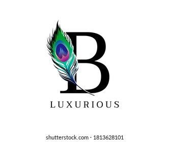 C Letter Decorated Exotic Peacock Feather Stock Vector (Royalty Free ...