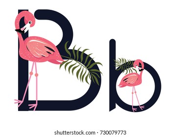 B Letter Flamingo Vector