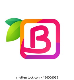 B letter in square with juice and green leaves. 