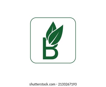 B Logo mit Blättern, Vektorgrafik 