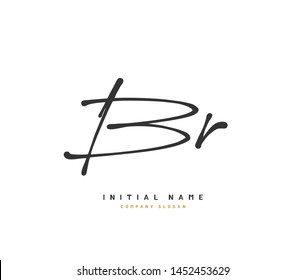 B R BR Beauty vector initial logo, handwriting logo of initial signature, wedding, fashion, jewerly, boutique, floral and botanical with creative template for any company or business.
