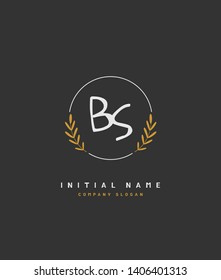 B S BS Beauty vector initial logo, handwriting logo of wedding, fashion, jewerly, heraldic, boutique, floral and botanical with creative template for any company or business.