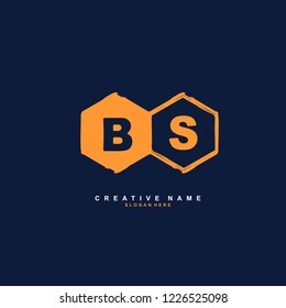 B S BS Initial logo template vector