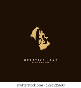 B S BS Initial logo template vector