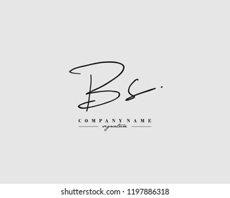 B S BS Signature initial logo template vector