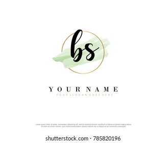 B S Initial water color logo template vector