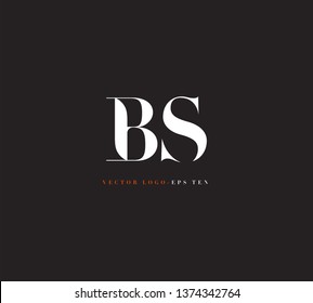 B S letters Joint logo icon vector template.