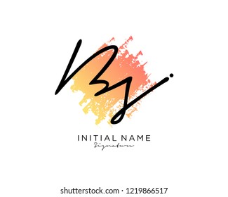 B S Signature initial logo template vector