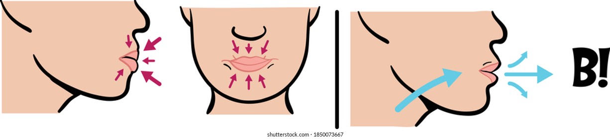 B  Speech sounds vector graphic diagram