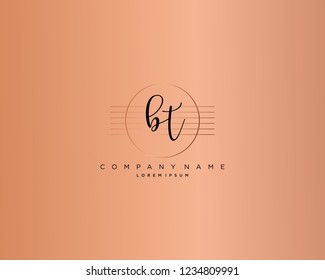 B T initial handwriting logo vector
