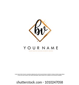 B V Initial abstract logo template vector