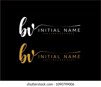 B V Initial handwriting logo vector. Hand lettering for designs.