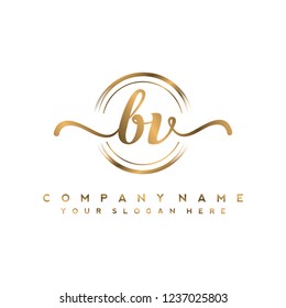 B V Initial handwriting logo vector