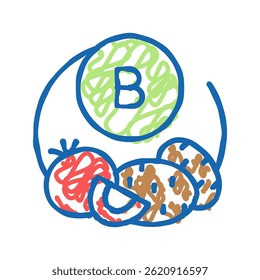 b vegetable vitamin doodle icon sketch vector. b vegetable vitamin sign. isolated symbol illustration
